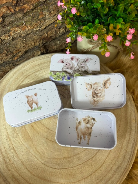 Wrendale Mini-Dosen – Schweinemotive